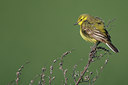BUITEN BEELD Foto: 96727