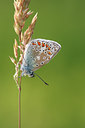 BUITEN BEELD Foto: 96742