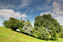 BUITEN BEELD Foto: 96765