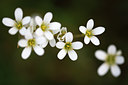 BUITEN BEELD Foto: 96803