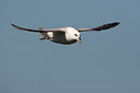 BUITEN BEELD Foto: 96820