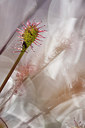 BUITEN BEELD Foto: 96912
