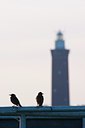 BUITEN BEELD Foto: 96955