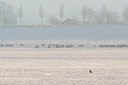 BUITEN BEELD Foto: 96995
