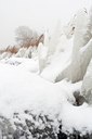 BUITEN BEELD Foto: 97008
