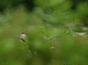 BUITEN BEELD Foto: 97018
