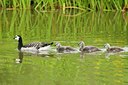 BUITEN BEELD Foto: 97043