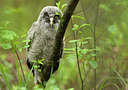 BUITEN BEELD Foto: 97087