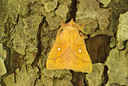 BUITEN BEELD Foto: 97130