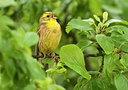 BUITEN BEELD Foto: 97137
