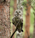 BUITEN BEELD Foto: 97175