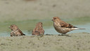 BUITEN BEELD Foto: 97193