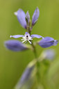 BUITEN BEELD Foto: 97237