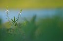 BUITEN BEELD Foto: 97403