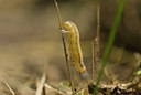 BUITEN BEELD Foto: 97410