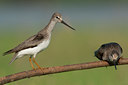 BUITEN BEELD Foto: 97432