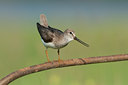 BUITEN BEELD Foto: 97435