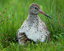 BUITEN BEELD Foto: 97454