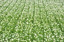 BUITEN BEELD Foto: 97576