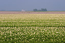 BUITEN BEELD Foto: 97579