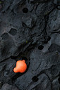 BUITEN BEELD Foto: 97613