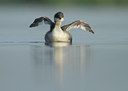 BUITEN BEELD Foto: 97715