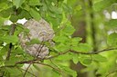 BUITEN BEELD Foto: 97809