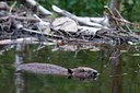 BUITEN BEELD Foto: 97955