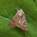 BUITEN BEELD Foto: 98058