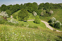 BUITEN BEELD Foto: 98289