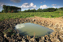 BUITEN BEELD Foto: 98290