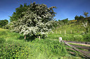 BUITEN BEELD Foto: 98339