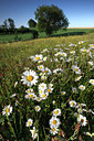 BUITEN BEELD Foto: 98348