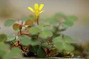 BUITEN BEELD Foto: 98407