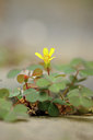 BUITEN BEELD Foto: 98409