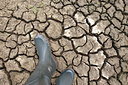 BUITEN BEELD Foto: 98521