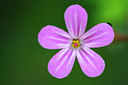 BUITEN BEELD Foto: 98537