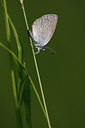 BUITEN BEELD Foto: 98569