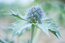BUITEN BEELD Foto: 98637