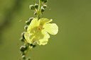 BUITEN BEELD Foto: 98646