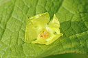 BUITEN BEELD Foto: 98647