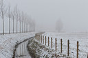 BUITEN BEELD Foto: 98697