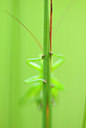 BUITEN BEELD Foto: 98727