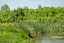 BUITEN BEELD Foto: 98772