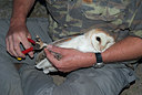 BUITEN BEELD Foto: 98817