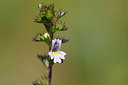 BUITEN BEELD Foto: 98892