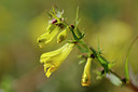BUITEN BEELD Foto: 98898