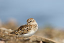 BUITEN BEELD Foto: 98903