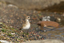 BUITEN BEELD Foto: 98904