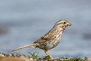 BUITEN BEELD Foto: 98911